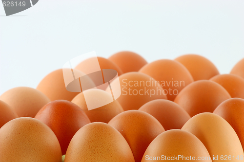 Image of egg; object on a white background