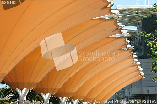 Image of Photo of a patio umbrellas at a cafe