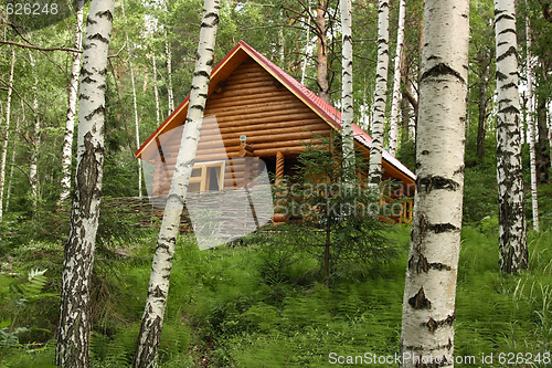 Image of The wooden house in a forest