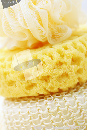 Image of bath sponges
