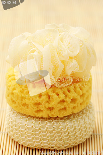 Image of bath sponges
