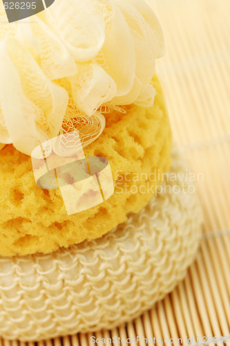 Image of bath sponges