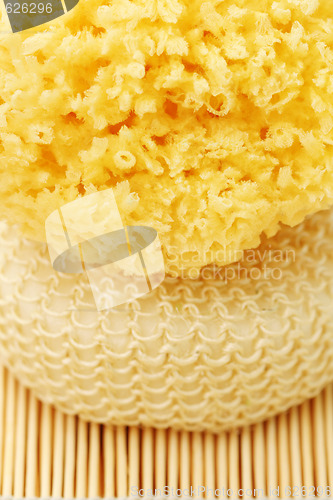 Image of bath sponges