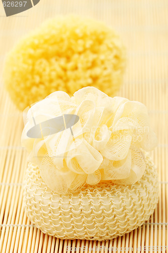 Image of bath sponges