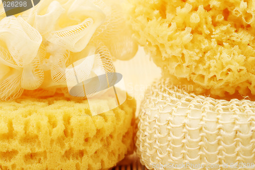 Image of bath sponges