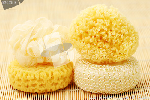 Image of bath sponges