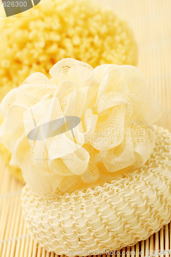 Image of bath sponges