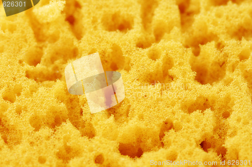 Image of bath sponge