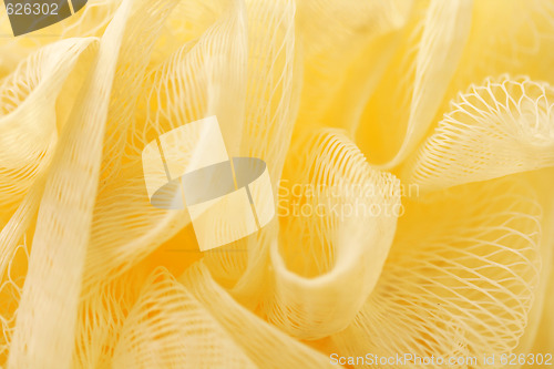 Image of bath sponge
