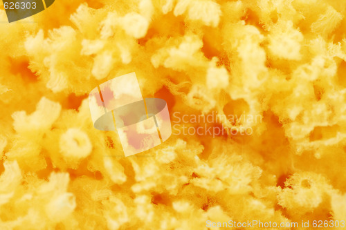 Image of bath sponge