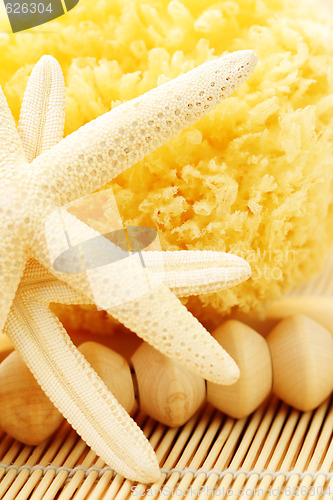 Image of bath sponge