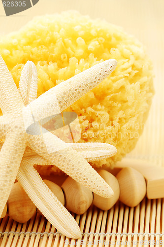 Image of bath sponges