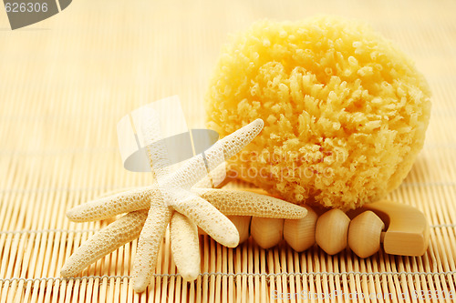 Image of bath sponge