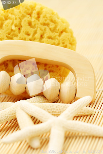 Image of bath sponge