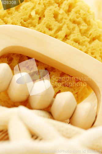 Image of bath sponge