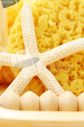 Image of bath sponge