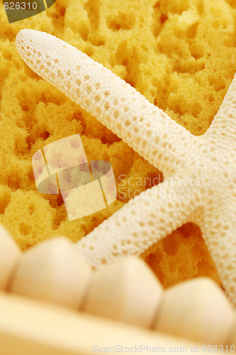 Image of bath sponge
