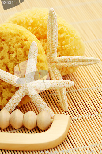 Image of bath sponge