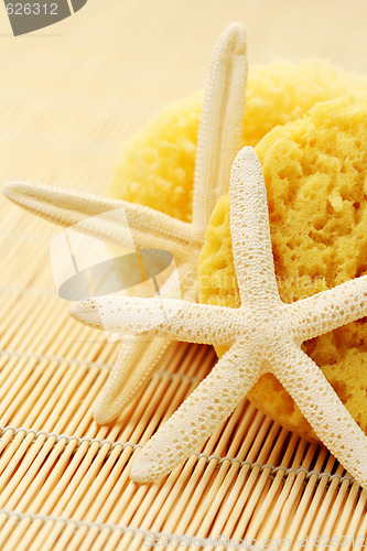 Image of bath sponge