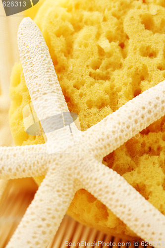 Image of bath sponge