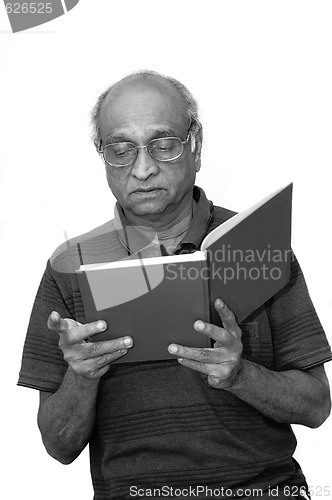 Image of Reading