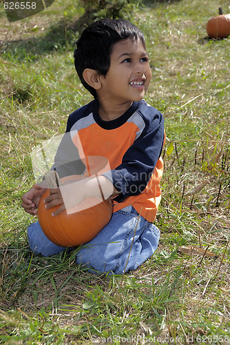 Image of Pumpkin patch