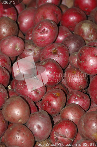 Image of Potatoes