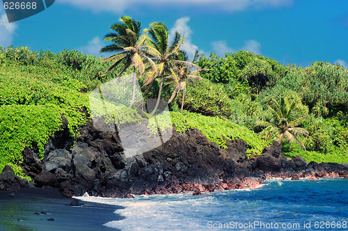 Image of Tropical Beach