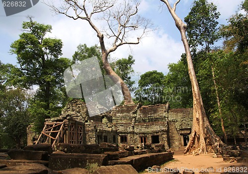 Image of  angkor