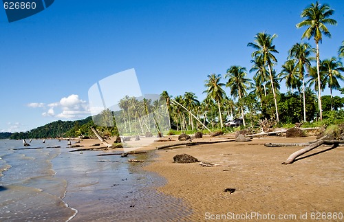 Image of beach