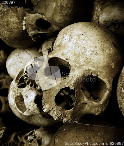 Image of skulls