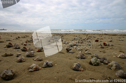 Image of After a storm