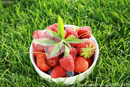 Image of Fresh fruits