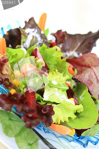 Image of Mixed vegetable salad