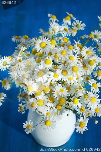 Image of Chamomile bouquet