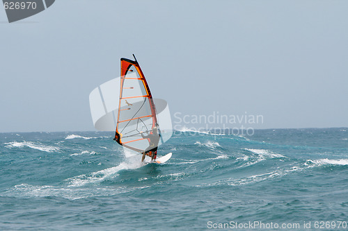 Image of Windsurfing