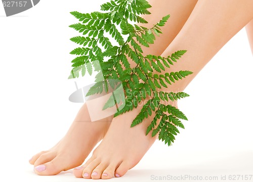 Image of female feet with green leaf