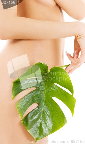 Image of female torso with green leaf over white