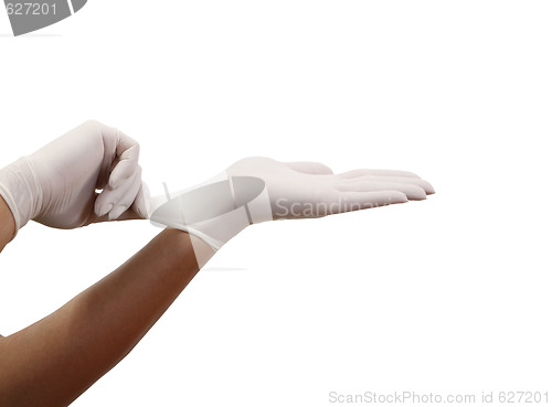Image of Surgical gloves