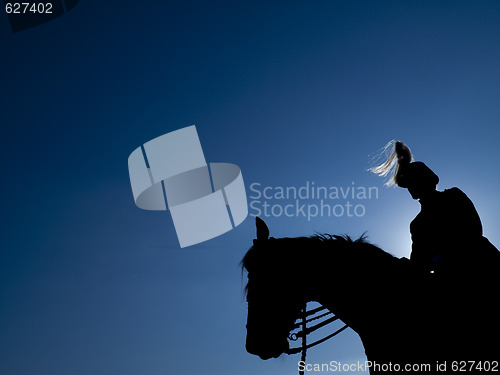 Image of Horse Guard in the night