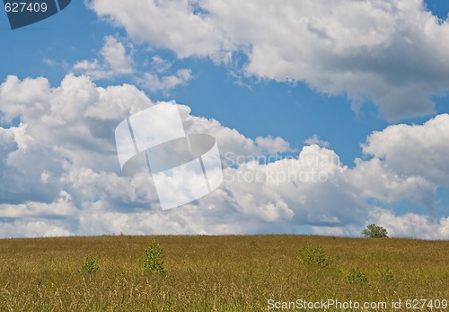 Image of Field and sky