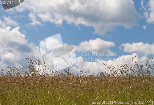 Image of Field and sky