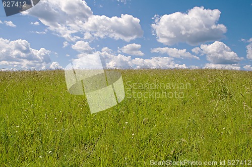 Image of Field and sky