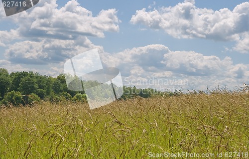 Image of Field and sky
