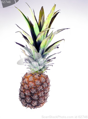 Image of Pineapple