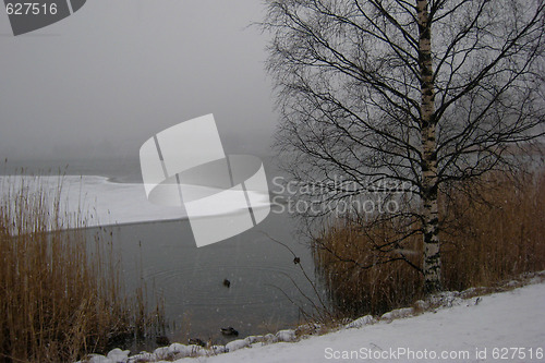 Image of Snowing by the lake