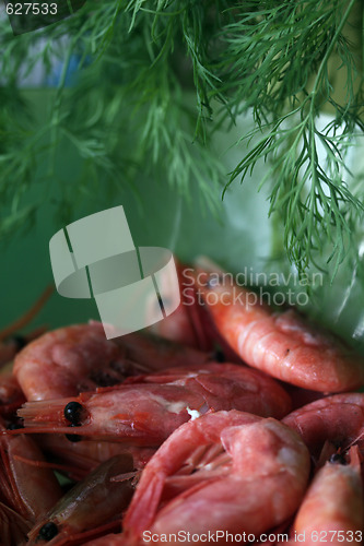 Image of shrimps