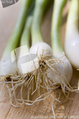 Image of A bunch of spring onions