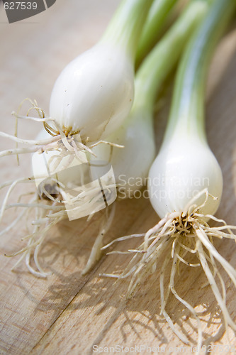 Image of A bunch of spring onions