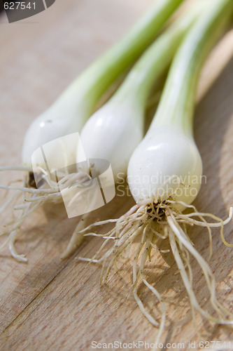 Image of A bunch of spring onions